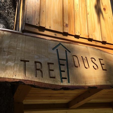 戈雷尼斯卡地区采尔克列Tree House Alpinka Krvavec别墅 外观 照片