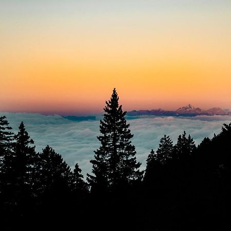 戈雷尼斯卡地区采尔克列Tree House Alpinka Krvavec别墅 外观 照片