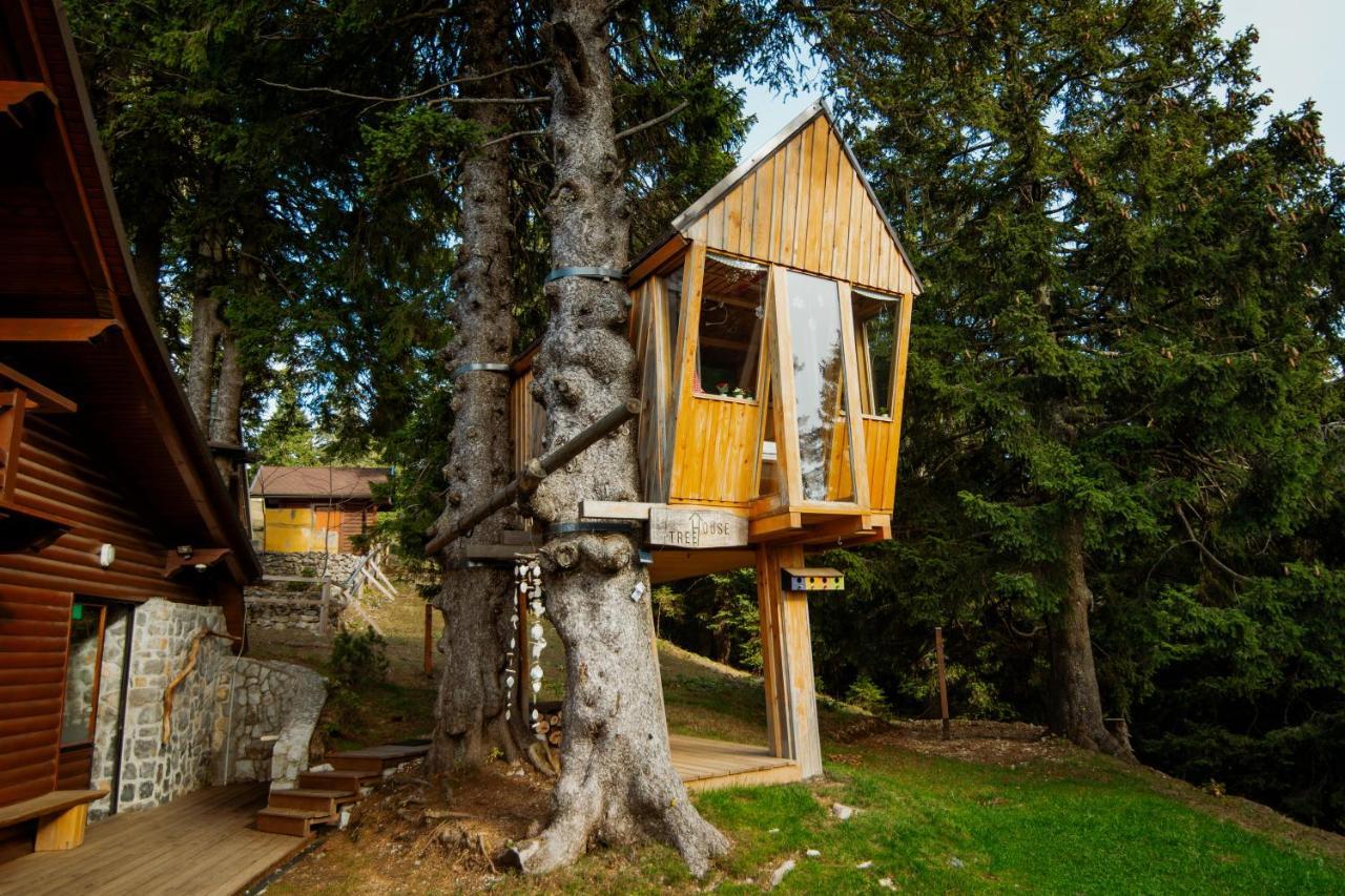 戈雷尼斯卡地区采尔克列Tree House Alpinka Krvavec别墅 外观 照片
