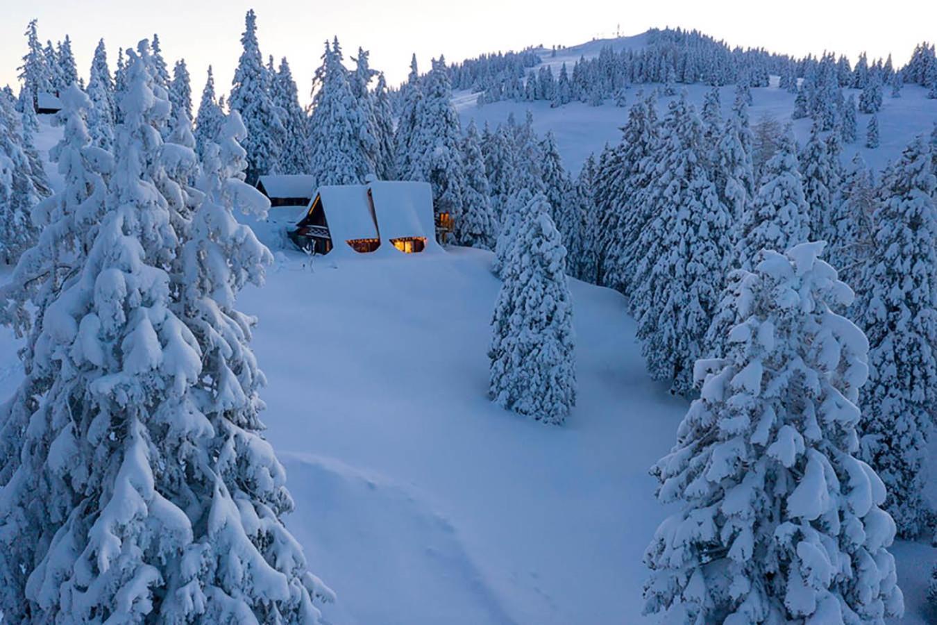戈雷尼斯卡地区采尔克列Tree House Alpinka Krvavec别墅 外观 照片